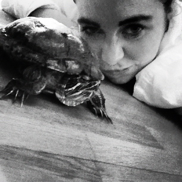 522b21104bbd11e2ac3122000a1fb77a_7