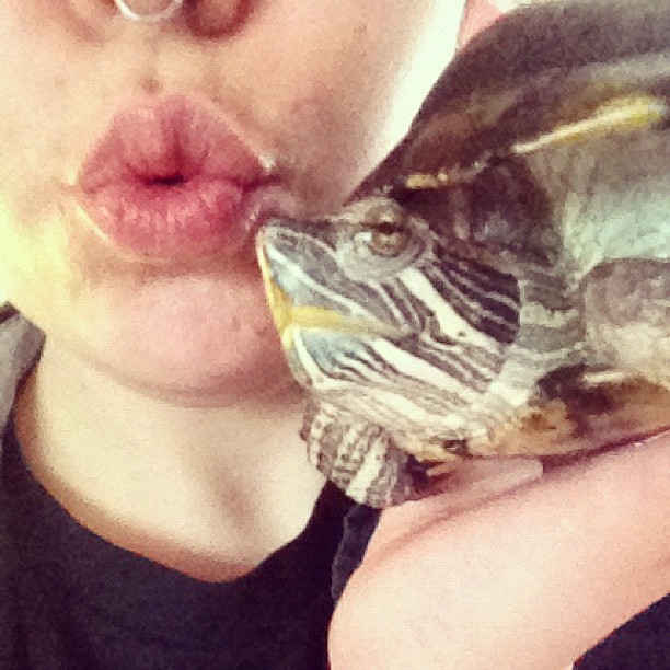 a76e0fba738711e2bbe622000a9f1270_7