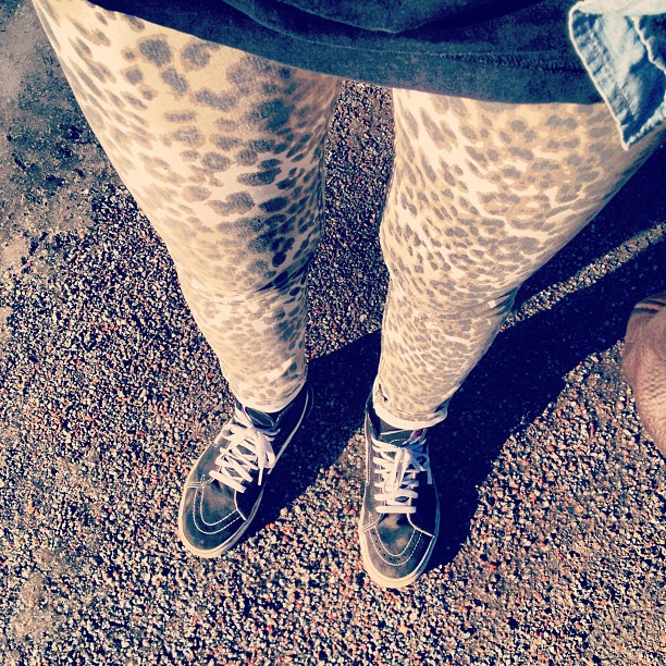 2803867296b611e2996322000a9f1313_7