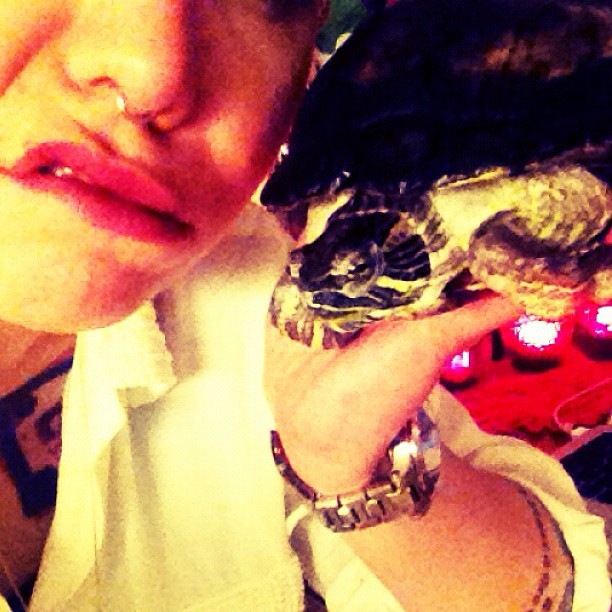 5431ab0899a311e2aaa822000a1fb0dd_7