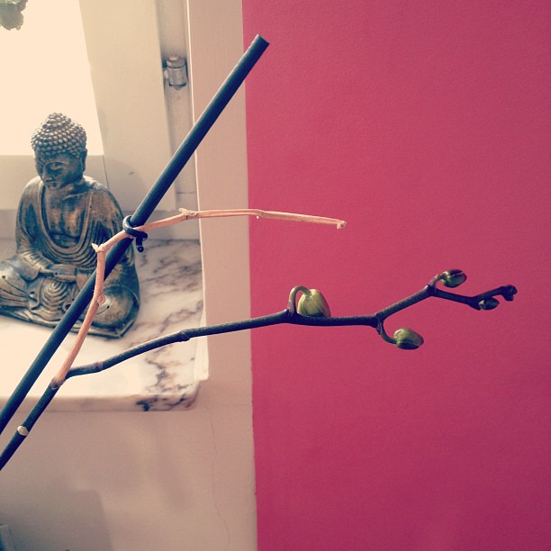 839ee818987411e292c922000a1fb771_7