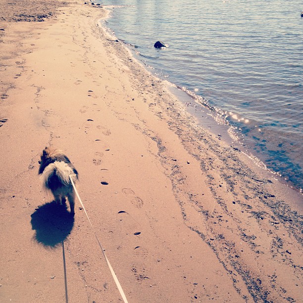 a04b9e44be2511e2bbed22000a9e28b0_7