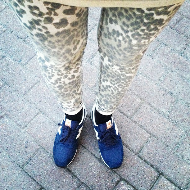 01b2ae4ee04411e294dc22000ae913c2_7