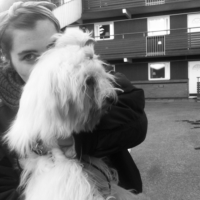 315ebeec340611e3800122000a1fbf61_8