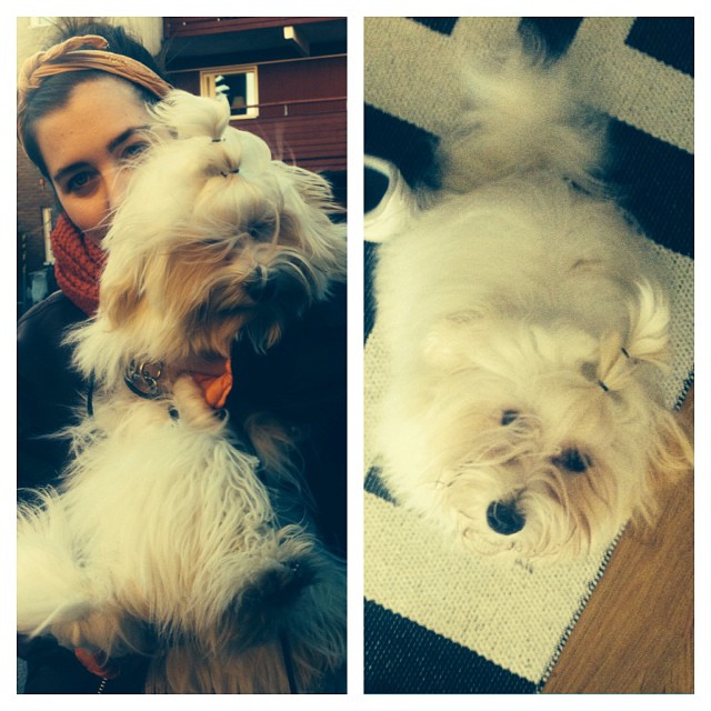 7fca8d14342811e3a5e422000aaa08f8_8