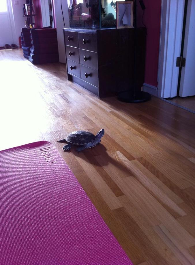 1618441_10151901742001556_109979297_n