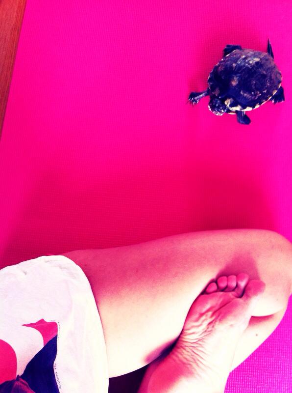 1620700_10151901741941556_424489579_n