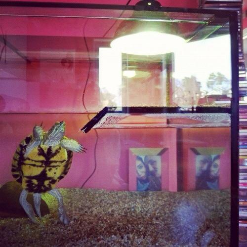 1620831_10151901741896556_1706549890_n