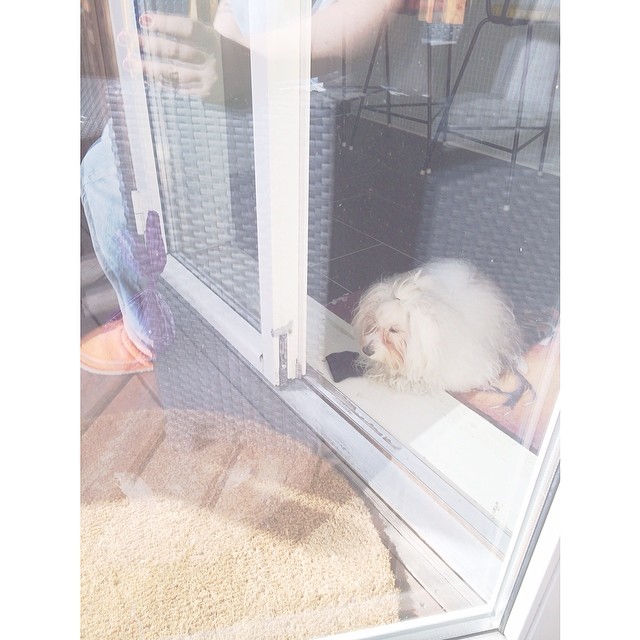 d32fa8f2bcc411e3a7050002c9c85bfa_8