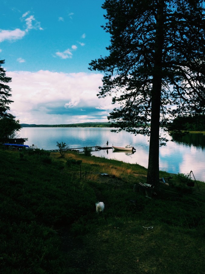 Processed with VSCOcam with c1 preset