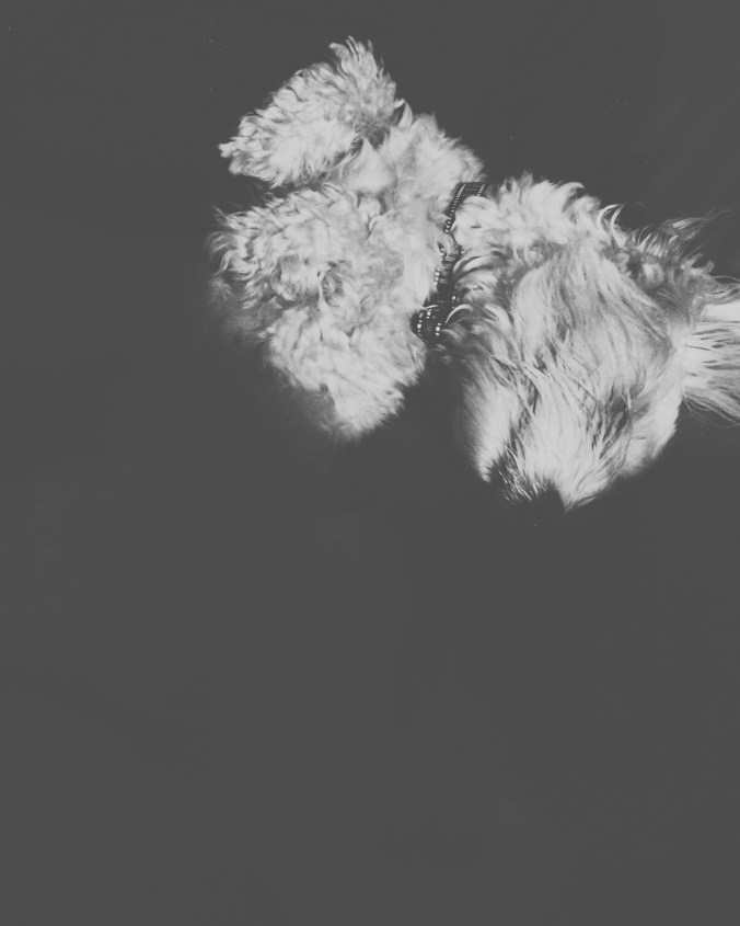 Processed with VSCOcam with x1 preset